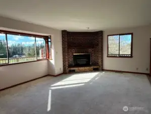 Living Room, Fireplace has propane insert.