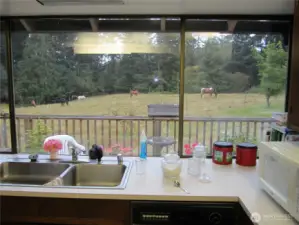 A kitchen view from the past.