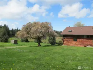 By storage shed viewing the house.