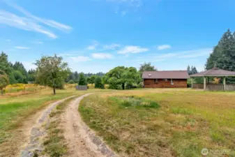 From the driveway at the back of the home.