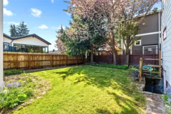 Great flat backyard