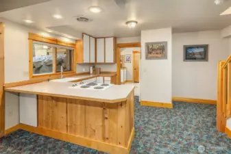 Daylight Basement Kitchen