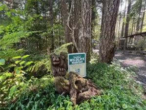 The designed landscape is a healthy biosphere for birds and other wildlife, designated an official wildlife habitat by the National Wildlife Federation.