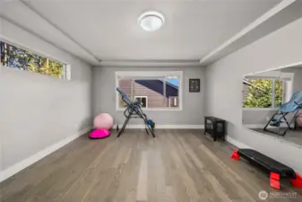 flex room number #2, could be a 5th bedroom just a add wardrobe, or a gym, theater room ??
