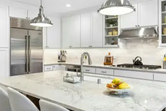 Built in SubZero fridge/freezer with ice and filtered water.