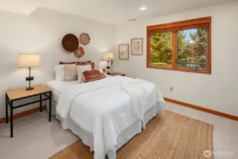 Lower level bedroom 2