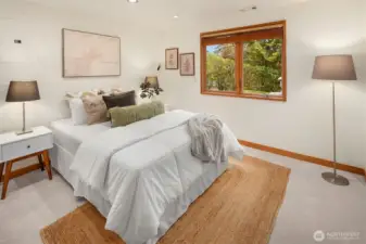 lower level bedroom 3