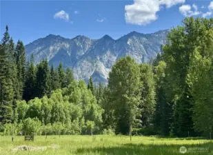 Tall Timber Entrance