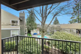 A mature northern red oak greets you from the balcony! Just beyond, you'll find views of the pool. It's far enough away to be seen and rarely heard!