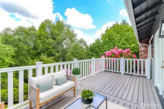 Wrap around patio deck with private, serene views.