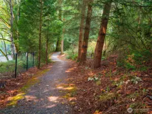 Walking trails throughout community