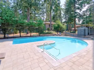 Newly renovated Pool
