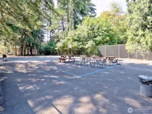 Sport and activity court