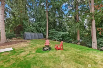 Large backyard