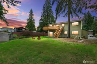 Large backyard
