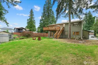 Large backyard
