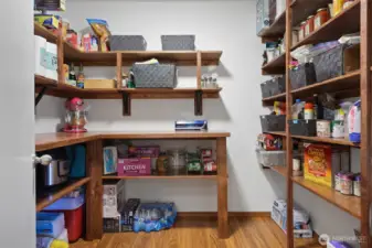 Pantry is absolutely DREAMY--floor to ceiling shelves on the side, and bonus workspace/counters-- like a butler's pantry.