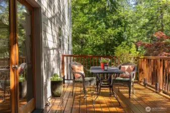 The deck has lots of areas to sit and tranquilly take in the forested and nature views.