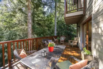 Looking across the expansive deck off the family room that is surrounded by evergreens and sunlight. The private deck above is off the primary suite.