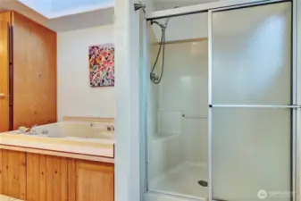 Primary bathroom; jetted tub on left & shower on right.