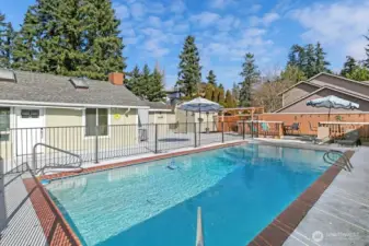 Pool area looking to the East