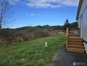 Back porch and back yard space.