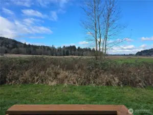 Backyard space with peaceful open views over the neighboring farm—enjoy quiet mornings from your porch and listen to the birds signing in the tree.