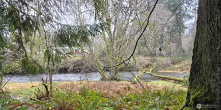 Creek frontage