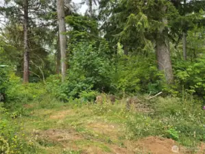 Back of property/ trail to creek