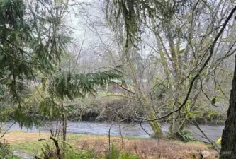 Creek frontage