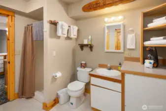 Daylight Basement 3/4 Bath