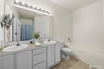 Master vanity and bathtub