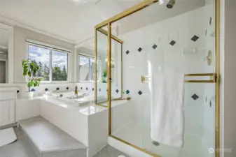 Primary bath shower