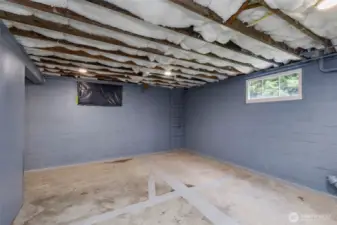More basement storage