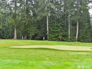 Golf putting green