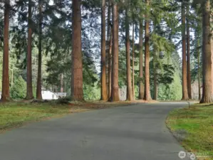 Main drive