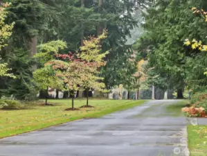 main drive