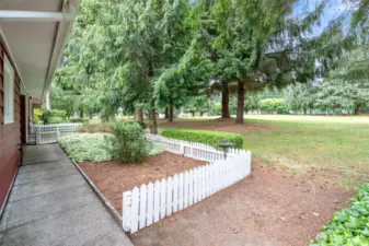 Pretty picket fence!
