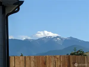 Mtn Views