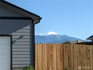 Large Side Yard
