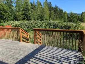 Backyard Deck