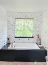 Primary tub
