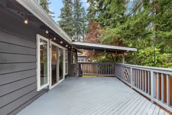 Party-ready covered deck with bistro lights and railing detail.
