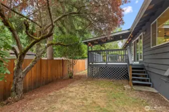 Side yard under mature trees beside the deck skirt.
