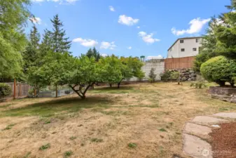 Large, sunny yard with multiple trees and open play space.