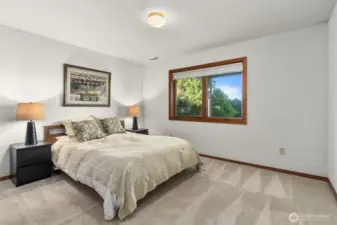 Lower Level bedroom.