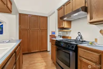 Built-in kitchen wall pantry.