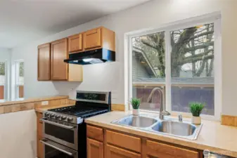 Lots of Natural Light.