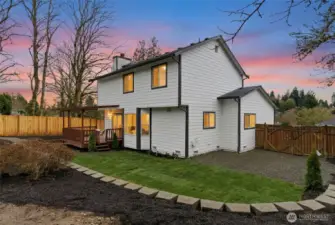 Back yard fresh Grass