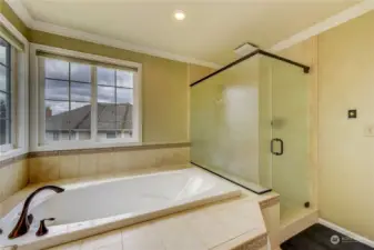 Primary bath with jetted tub